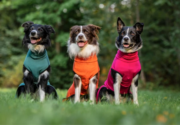 Kotimaiset merinovillajumpperit koirille! 489