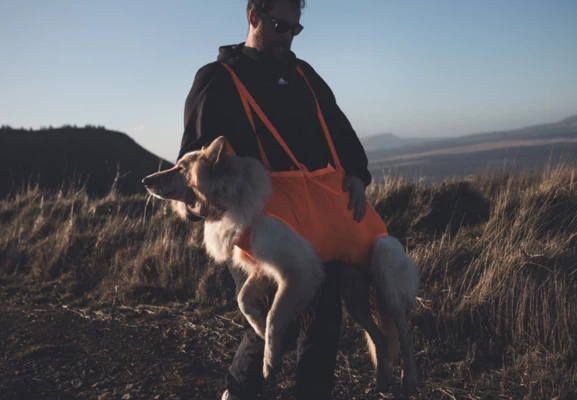 Non-stop rescue sling 453