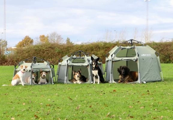 Smarthouse pet tent 443