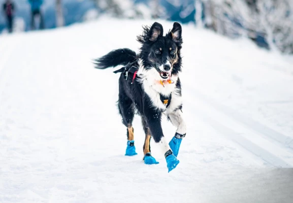 Long distance-tossut lumipaakkuja ja pakkasta vastaan! 497