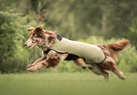 Uutuus! hundlands sport wool 520