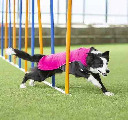 JumppaPomppa koiran fleecepaita, pinkki - Neuleet ja pusakat - 002720 - 2