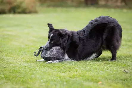 Purutyyny "jalkapallo" kahvalla - Patukat ja purutyynyt - 6620 - 2