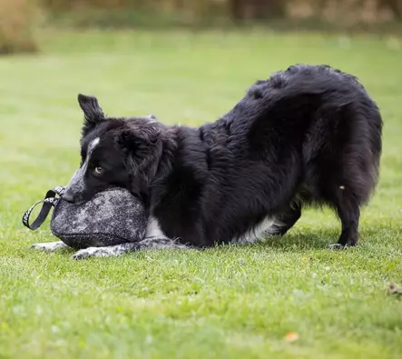 Purutyyny jalkapallo kahvalla, pehmeä - Patukat ja purutyynyt - 6620 - 2