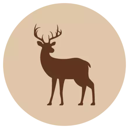 Riistajauheliha - Riista - 4140 - 1