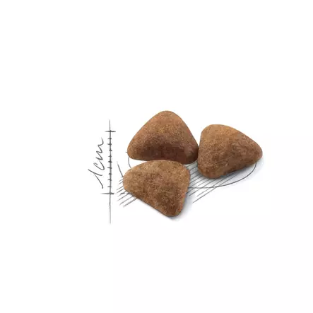 Royal Canin Indoor - Royal Canin - 200370 - 2