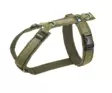 Anny-X FUN säädettävät Y-valjaat, oliivi - Koiran valjaat - 43880 - 1
