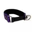 lila puolikirist=C3=A4v=C3=A4 koiran kaulapanta - Puolikiristävät pannat - 41350 - 2