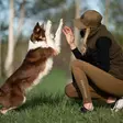 Hundlands Fave Leggings, mole - Housut - 20610 - 1