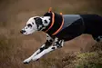 Non-Stop Dogwear Trekking Fleece jacket, musta-oranssi - Takit ja manttelit - 43050 - 4