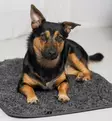 Pomppa Settle Mat taukomatto - Makuualustat - 80380 - 4