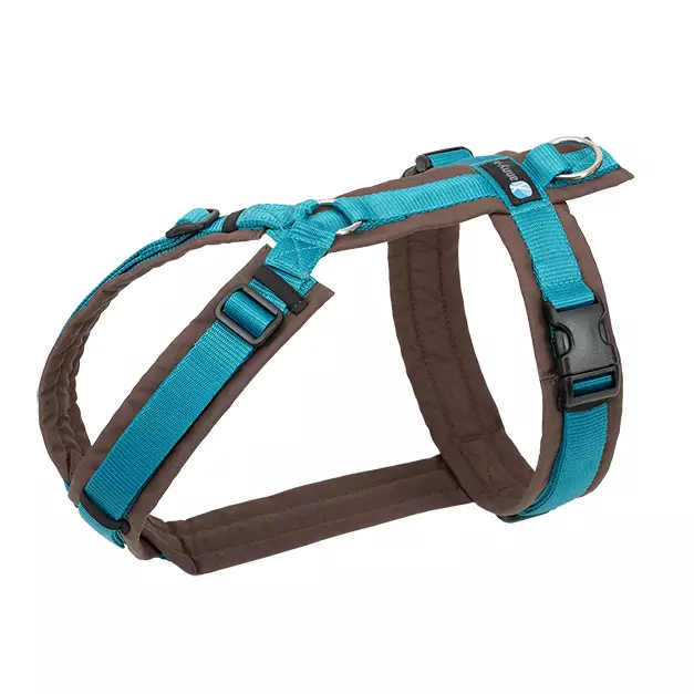 anny-x valjaat ruskea petrooli - Koiran valjaat - 43650 - 1