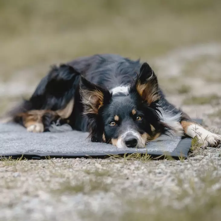 Hiking Villapeti - Makuualustat - 4900 - 1