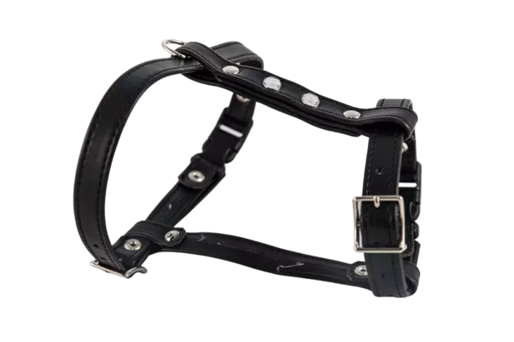 Kissanvaljaat, musta - Kissan valjaat - 002660 - 1