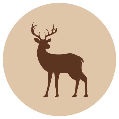 Riistajauheliha - Riista - 4140 - 1