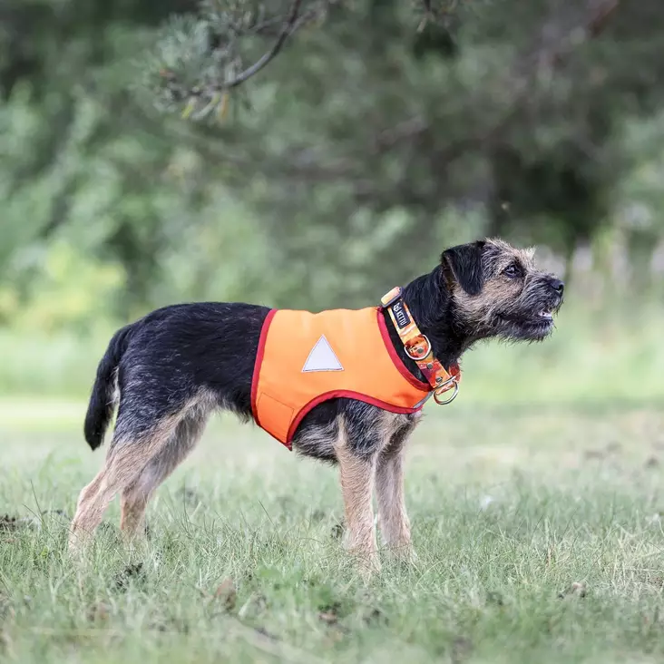 Soma S=C3=A4vy huomioliivi pienelle koiralle - Huomioliivit ja heijastimet - 26510 - 1