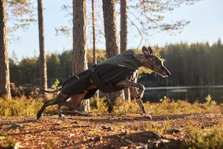 Glacier Wool Jacket 2.0, navy - Takit ja manttelit - 40181 - 2