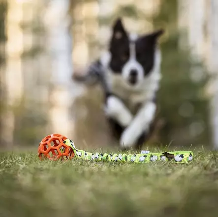 Hol-ee Roller vetolelu joustokahvalla, lammaskuosi - Narupallot ja pallot - 29451 - 2