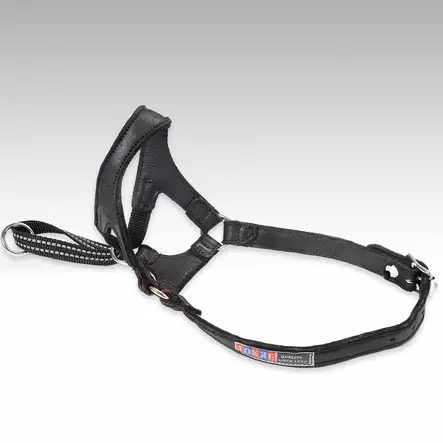 Jokke Ippa nahkainen kuonopanta - Kuonopannat - 004291 - 1