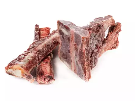 hevosen luut - Luut ja rustot - 50121 - 2