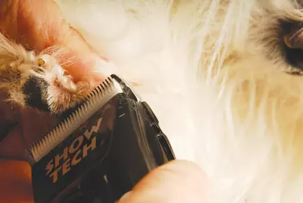 Trimmauskoneen terä Show Tech Amigo - Trimmauskoneet ja -terät - 101631 - 2