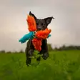 Doggie-Zen Mustekala, verkkopallo karvalonkeroilla - Narupallot ja pallot - 20662 - 1