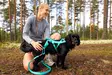 non-stop dogwear joustoliina - Veto- ja valjakkourheilu - 43061 - 3