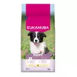 Eukanuba Puppy Medium Breed Chicken - Eukanuba - 43671 - 1
