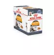 Royal Canin Hair & Skin Care Jelly - Royal Canin - 020601 - 1