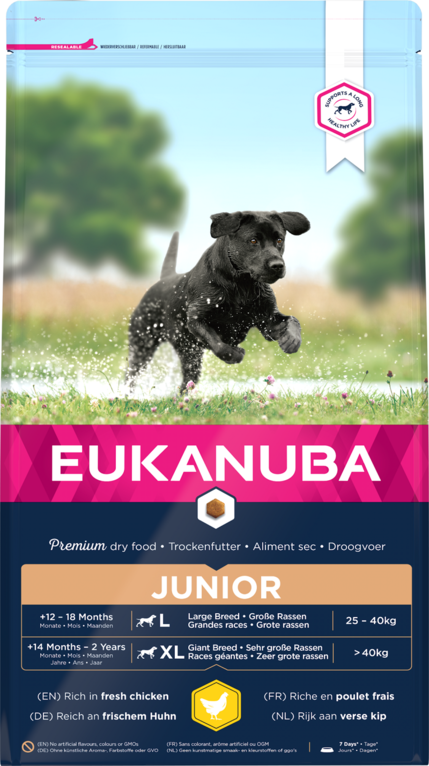 eukanuba junior large breed