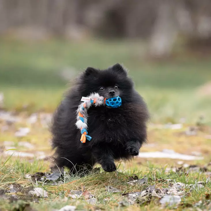 Doggie-Zen Fleece 'n Rabbit Braid Hol-ee Roller XS-koko - Aitoa karvaa sisältävät lelut - 42021 - 1