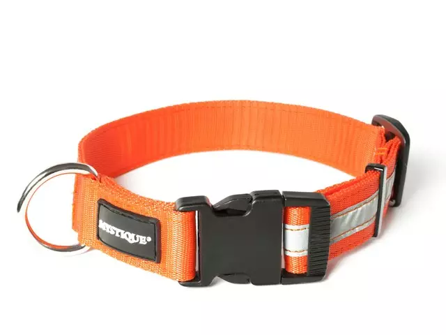 Heijastinpanta lukolla 30 mm, oranssi - Pistolukko- ja solkipannat - 6021 - 1