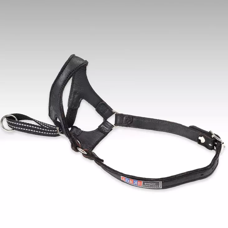 Jokke Ippa nahkainen kuonopanta - Kuonopannat - 004291 - 1