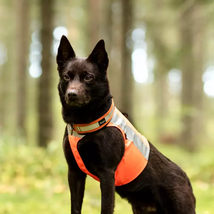 Maike huomioliivi vetoketjulla - Huomioliivit ja heijastimet - 23761 - 1