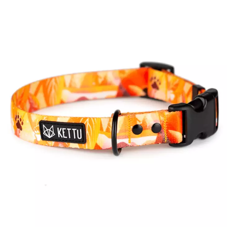 Koiran kaulapanta pikalukolla - Pistolukko- ja solkipannat - 26941 - 1