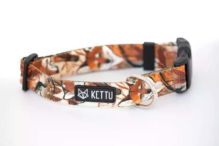 Koiran kaulapanta pikalukolla - Pistolukko- ja solkipannat - 26951 - 1