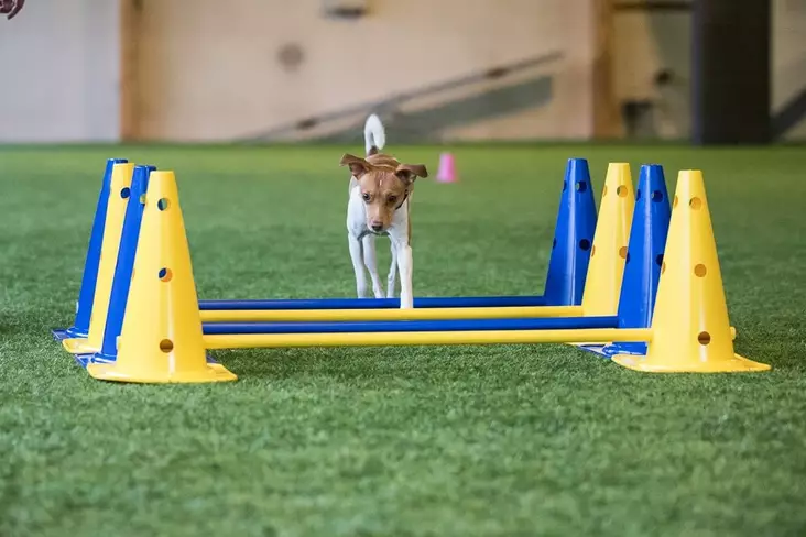 Reikäkartio 40 cm 2 kpl ja rima - Jumppa- ja tasapainovälineet - 6711 - 1