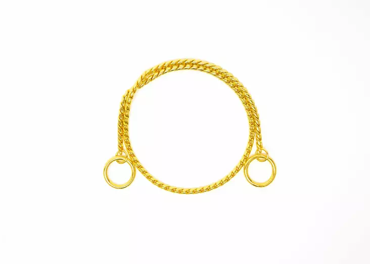 Snake-ketjupanta näyttelyihin, kulta - Näyttelytarvikkeet - 28811 - 1