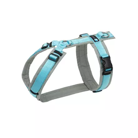 Anny-X FUN säädettävät Y-valjaat, turkoosi-harmaa - Koiran valjaat - 80072 - 1