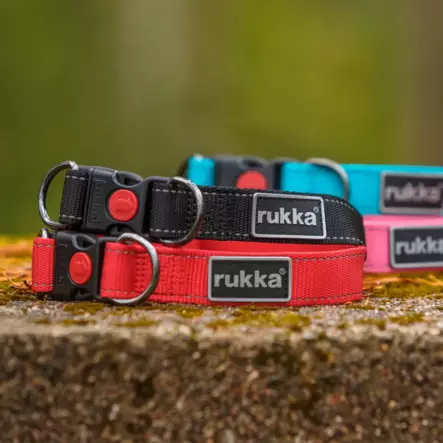 Bliss säädettävä nylonpanta, punainen - Pistolukko- ja solkipannat - 002862 - 2