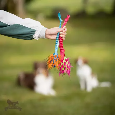 Bungee Knot Tug S with Hol-ee Football - Narupallot ja pallot - 20502 - 2