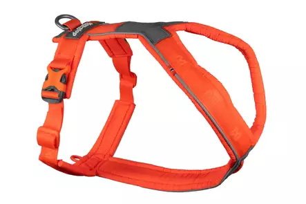 Line Harness 5.0, oranssi - Koiran valjaat - 40012 - 1