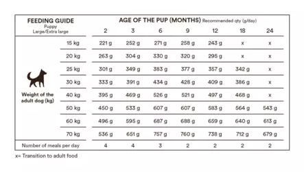 Monster Original Puppy L/XL Chicken & Turkey - Monster - 003912 - 2