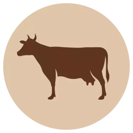 Naudan jauheliha - Nauta - 4542 - 1