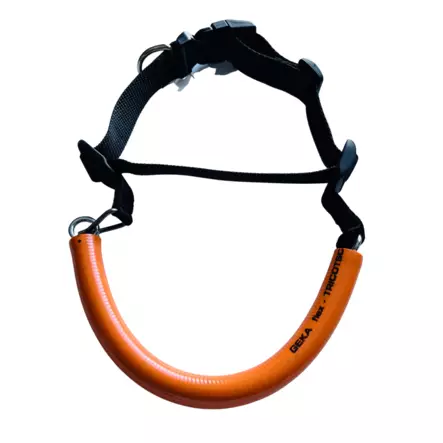 norski - Palveluskoiralajit - 40962 - 2