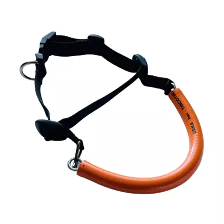 pk-rullapanta norskipanta - Palveluskoiralajit - 40962 - 1