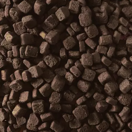 Primal Spirit 60% Wilderness - Alpha Spirit - 42372 - 2