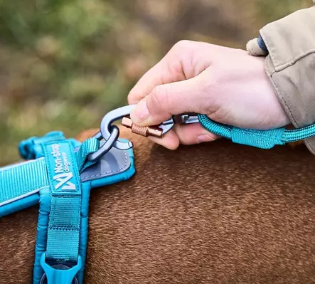 Trekking Rope Leash 6 mm, oranssi - Tekstiilitaluttimet - 004352 - 2