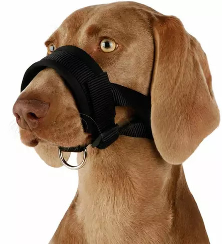 Trixie pehmustettu kuonopanta - Kuonopannat - 020662 - 2