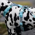 Trekking Line Harness CLIP'N koiran valjaat, ice blue - Koiran valjaat - 20712 - 2